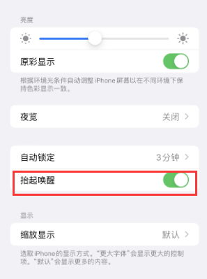 巴彦苹果授权维修站分享iPhone轻点无法唤醒怎么办