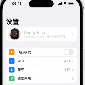 巴彦appleID维修服务iPhone设置中Apple ID显示为灰色无法使用 