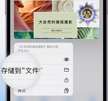 巴彦apple维修中心分享iPhone文件应用中存储和找到下载文件