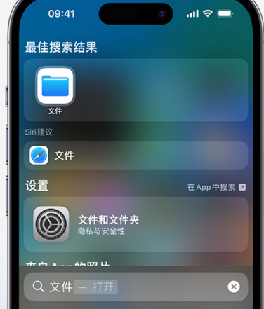 巴彦apple维修中心分享iPhone文件应用中存储和找到下载文件 