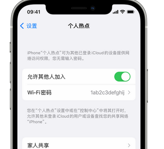 巴彦apple服务站点分享iPhone上个人热点丢失了怎么办 