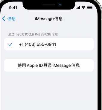 巴彦apple维修iPhone上无法正常发送iMessage信息