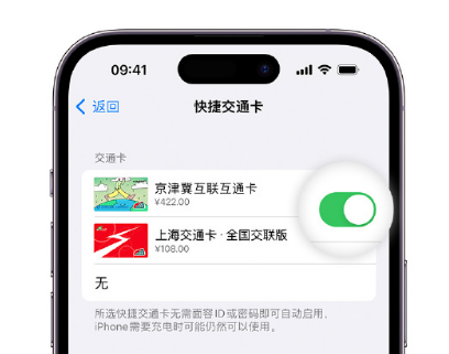 巴彦apple维修点分享iPhone上更换Apple Pay快捷交通卡手绘卡面 