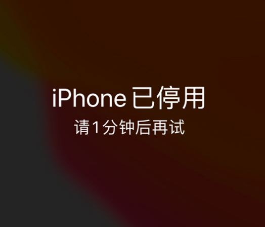 巴彦苹果手机维修分享:iPhone 显示“不可用”或“已停用”怎么办？还能保留数据吗？ 