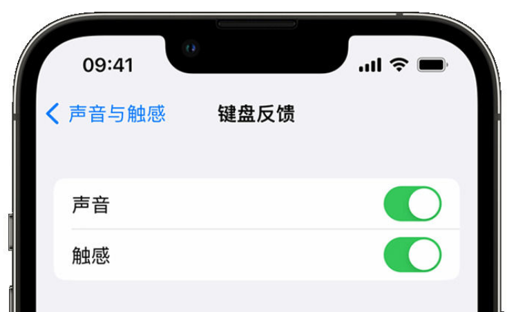 巴彦苹果手机维修分享iPhone 14触感键盘使用方法 