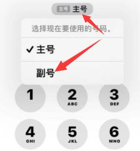 巴彦苹果14维修店分享iPhone 14 Pro Max使用副卡打电话的方法 