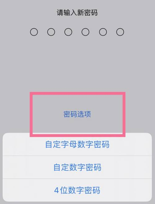 巴彦苹果14维修分享iPhone 14plus设置密码的方法 