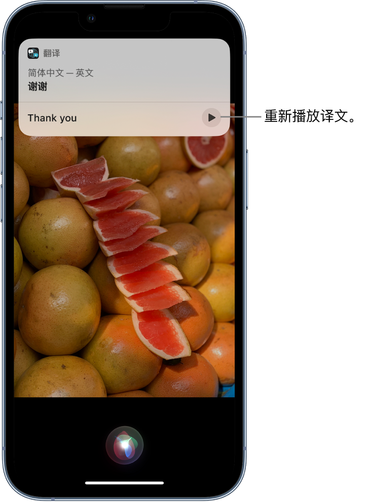 巴彦苹果14维修分享 iPhone 14 机型中使用 Siri：了解 Siri 能帮你做什么 