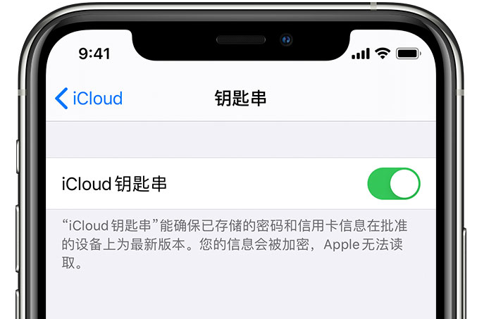 巴彦苹果手机维修分享在 iPhone 上开启 iCloud 钥匙串之后会储存哪些信息 