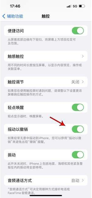 巴彦苹果手机维修分享iPhone手机如何设置摇一摇删除文字 