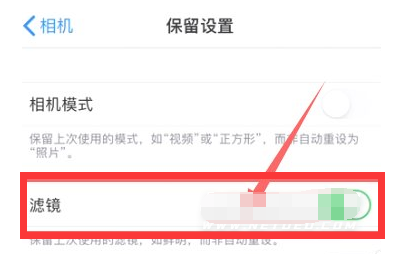 巴彦苹果13维修分享iPhone13拍照有绿点是怎么回事 