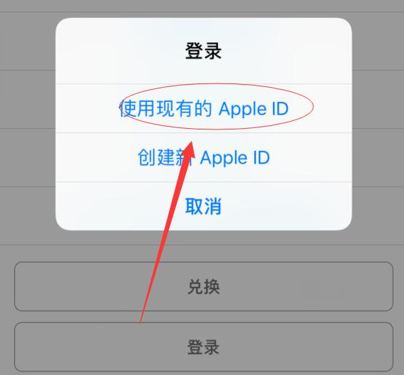 巴彦苹果手机维修分享两台iPhone设备可以同时登录一个Apple ID吗 
