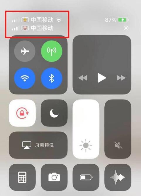 巴彦苹果手机维修分享为 iPhone 12 双卡设置标签 